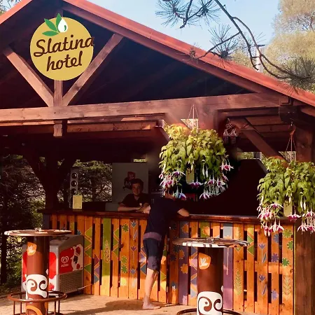 Hotel Slatina