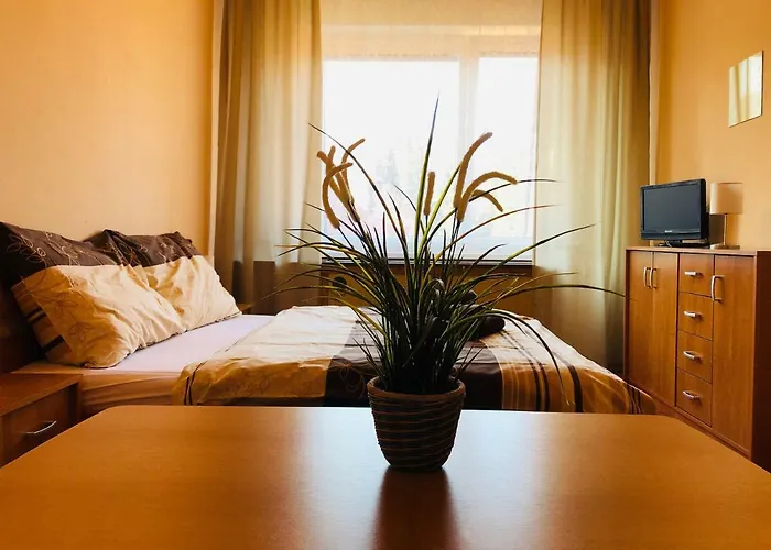 Hotel Slatina Lipová-lázně
